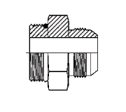 SAE O-Ring Boss to SAE 37° Flare Straight Thread Short Connector