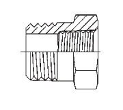 Pipe NPTF to NPTF Reducer Bushings