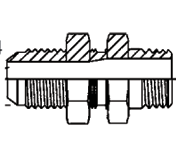 Pipe NPT to SAE 37° Flare Bulkhead with Jam Nut